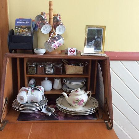 Catlins Retreat B & B Owaka Kültér fotó