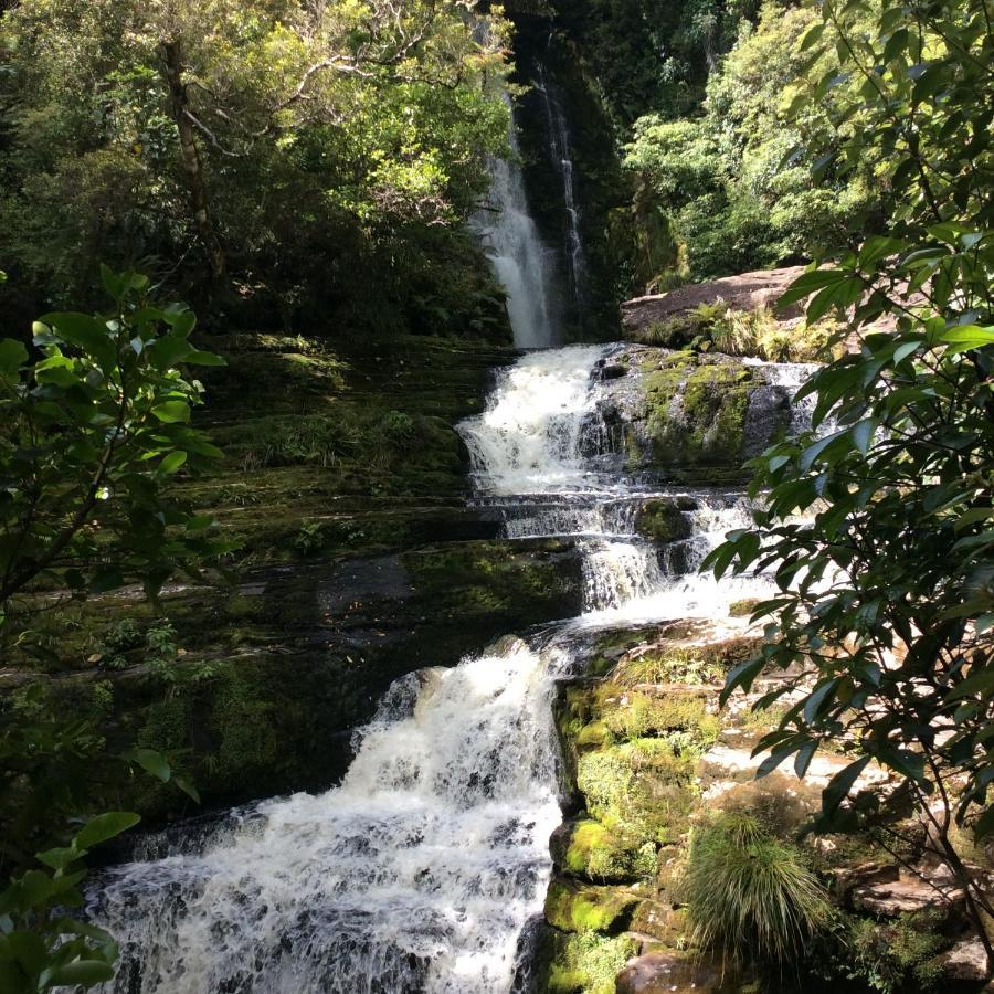 Catlins Retreat B & B Owaka Kültér fotó