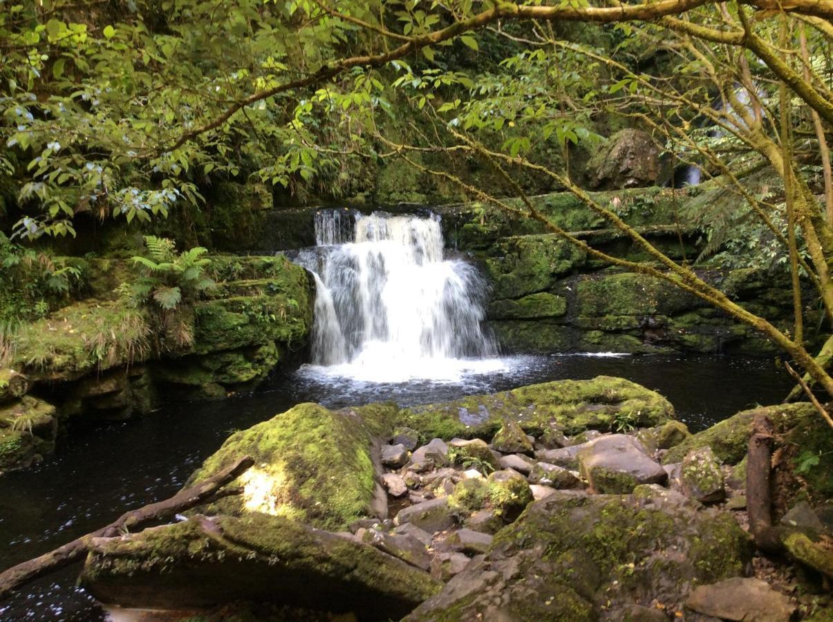Catlins Retreat B & B Owaka Kültér fotó
